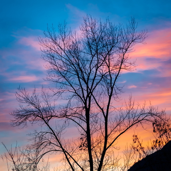 KR7_5904-Edit.jpg
