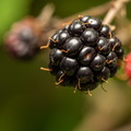20230908-K75 4200