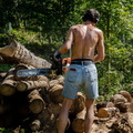 Lumberjack
