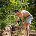 Lumberjack