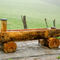 KR7_9859.jpg