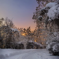 Winter