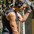 Chopping brushwood